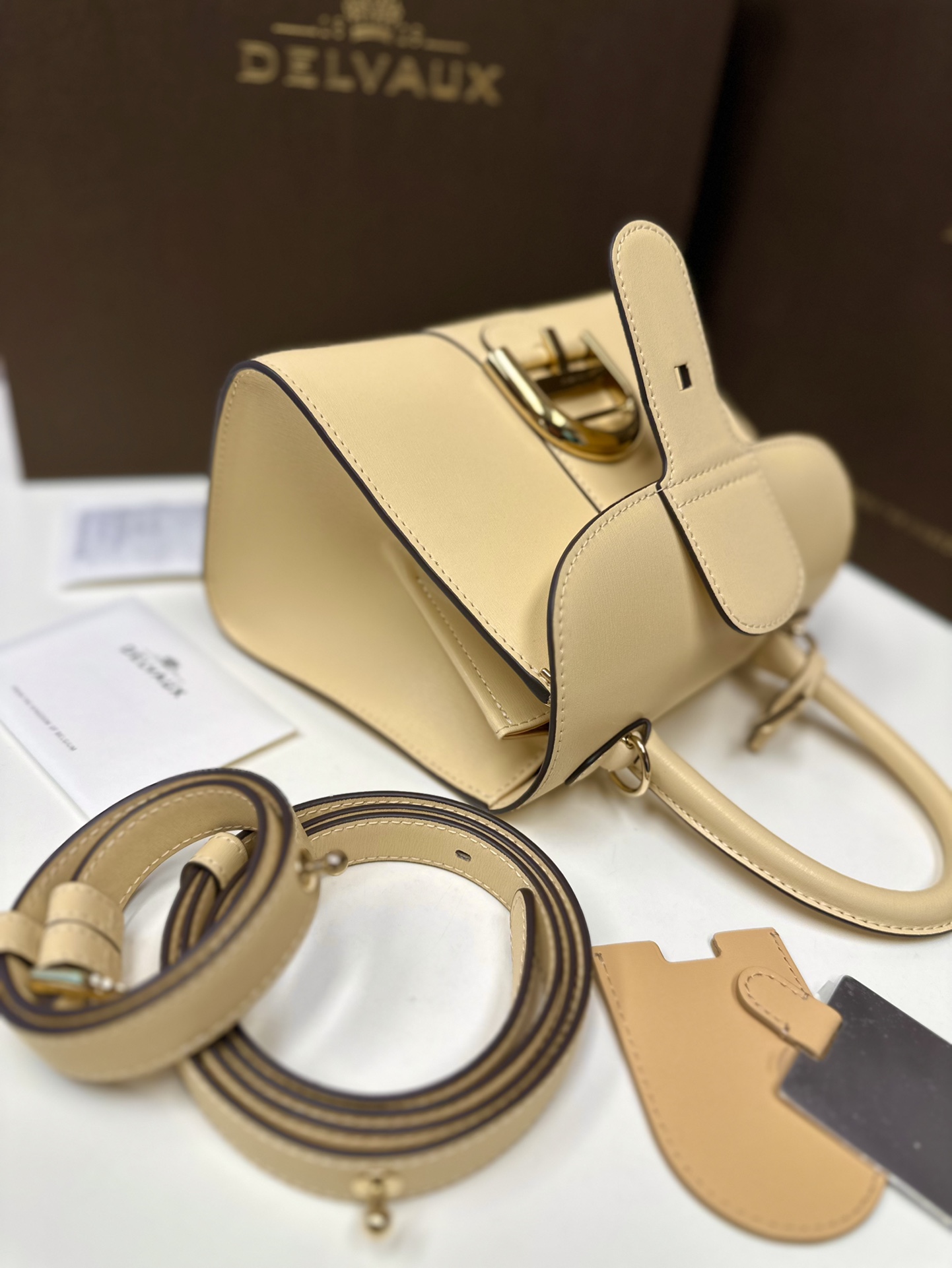 델보 브리앙 박스백 미니